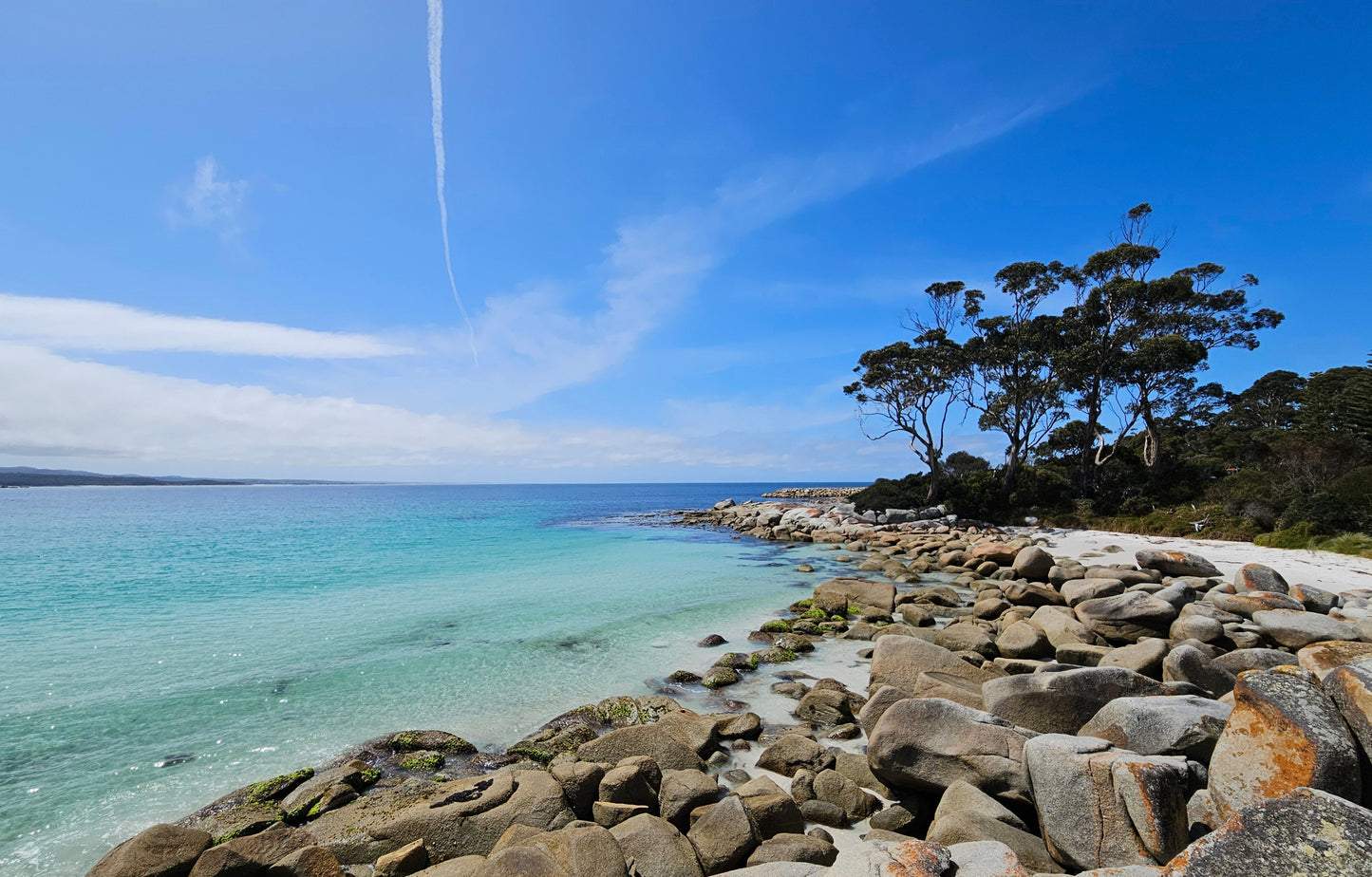 Solo Travel in Tasmania: Our Top 3 Tour Packages