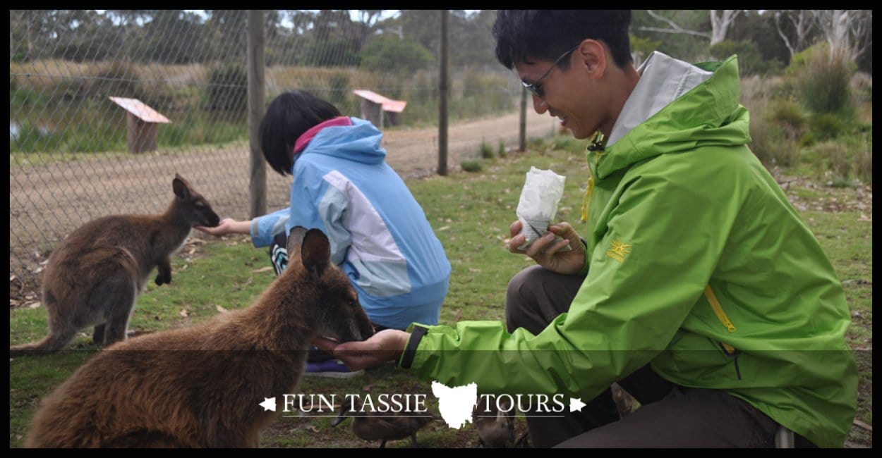 From Hong Kong | Honeymooners Tasmania Tour