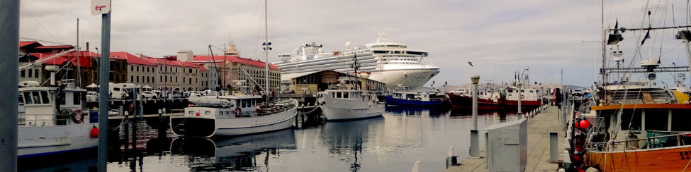 Fun Tassie Tours