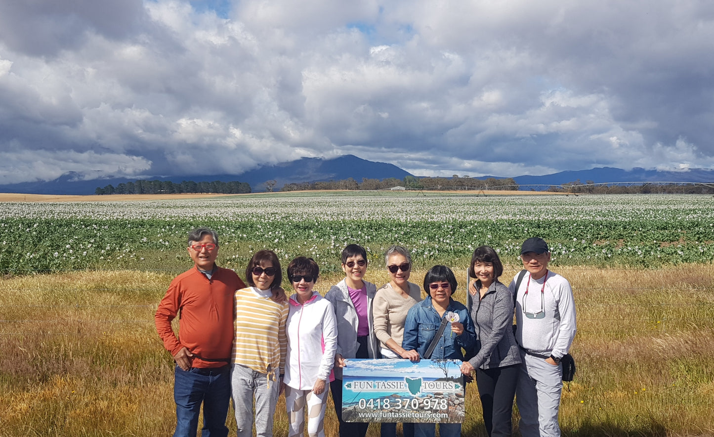 Fun Tassie Tours