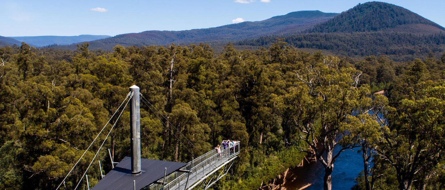 View of Tahune Airwalk platform and surrounds
