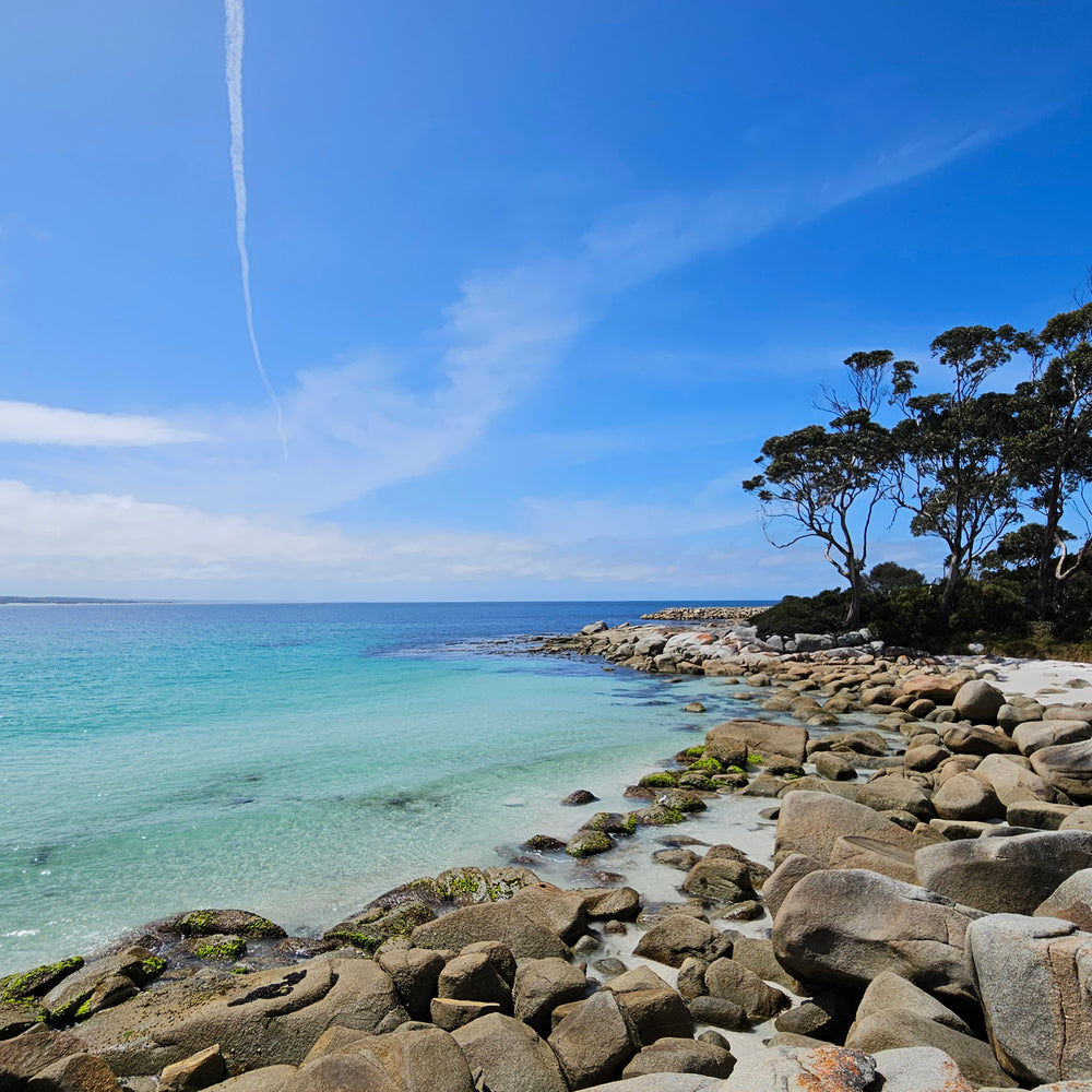 Solo travelling in Tasmania - the top 3 tour packages available