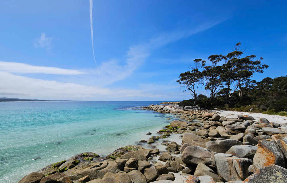 Solo travelling in Tasmania - the top 3 tour packages available