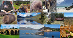 Tasmania Tours 5 Days