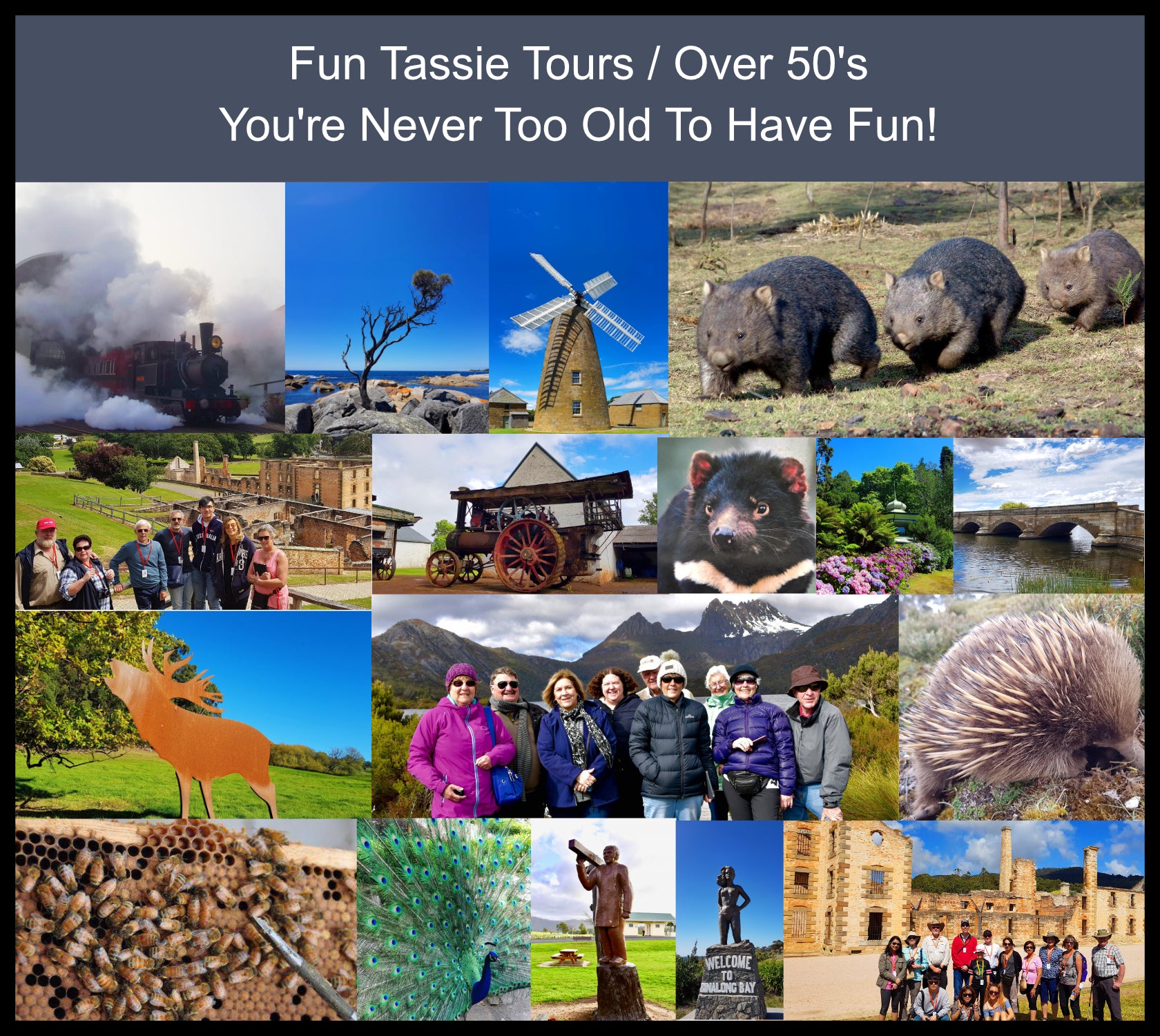 tassie tours reviews