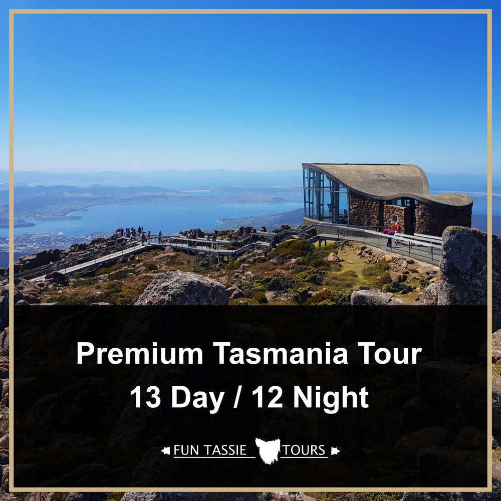 13 Day Premium Tasmania Tour (F13)