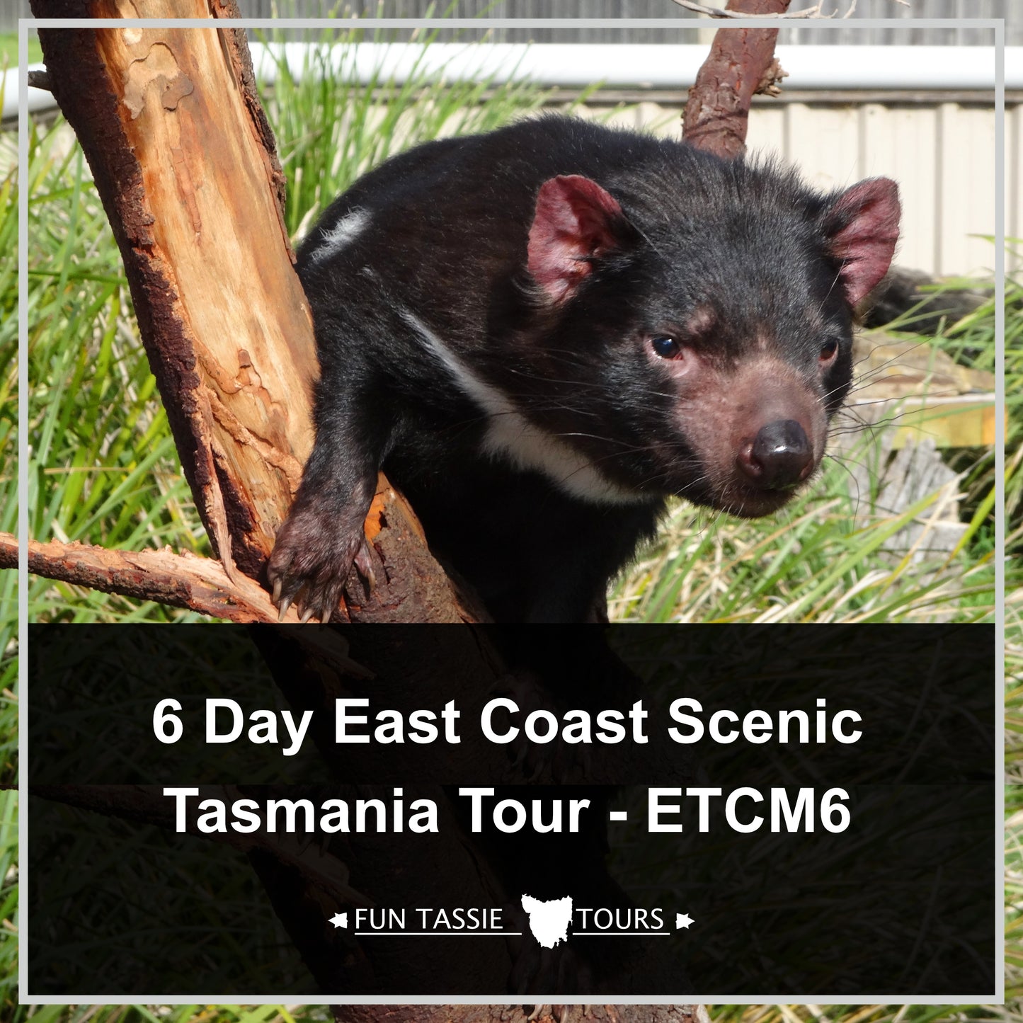 6 Day East Coast Scenic Tasmania Tour (ETCM6)