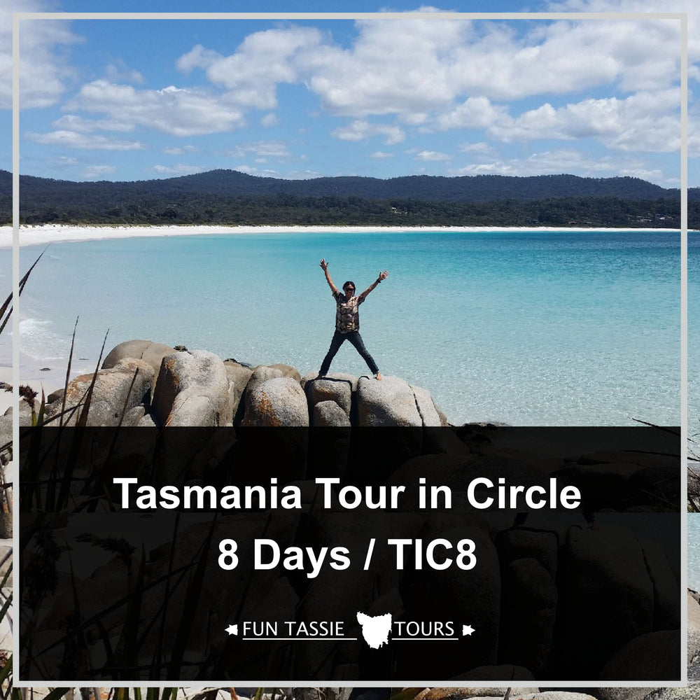 8 Day Tasmania Tour | Tour in Circle (TIC8)