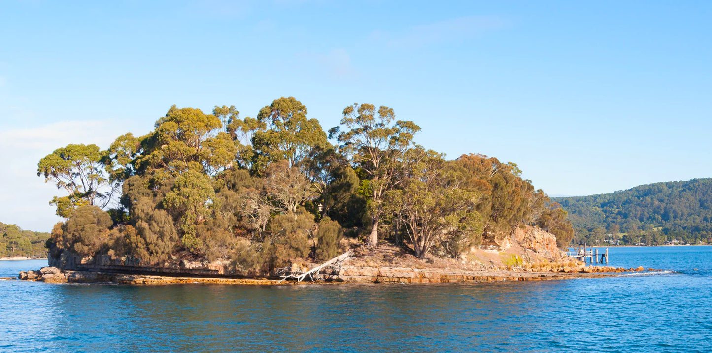 Isle of the Dead Port Arthur