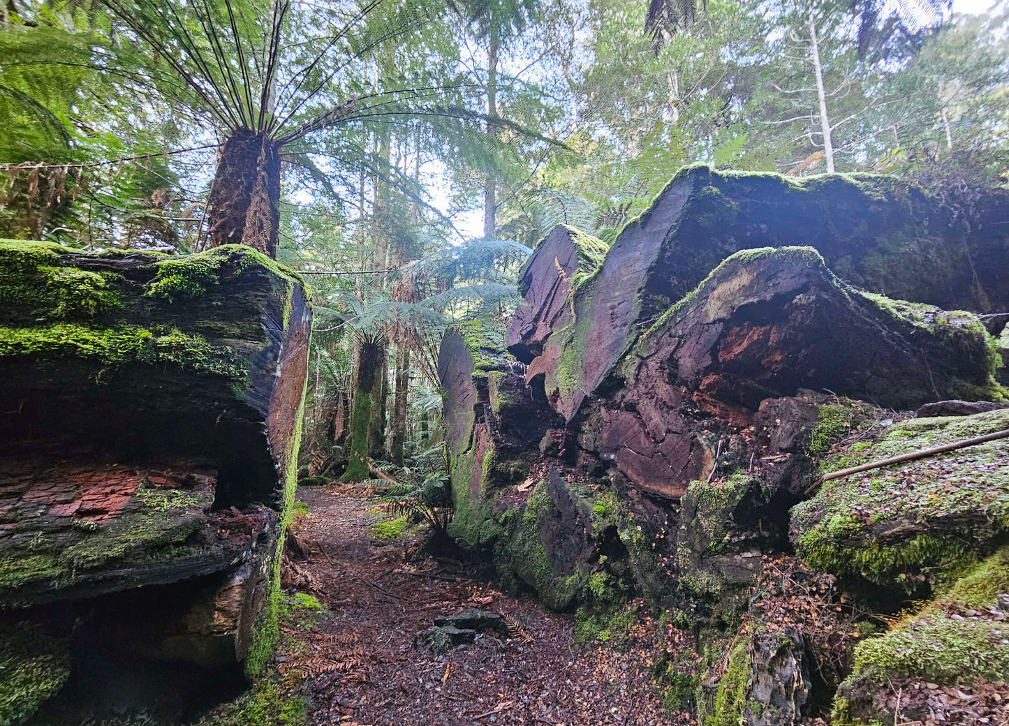 Scenic Walking Options