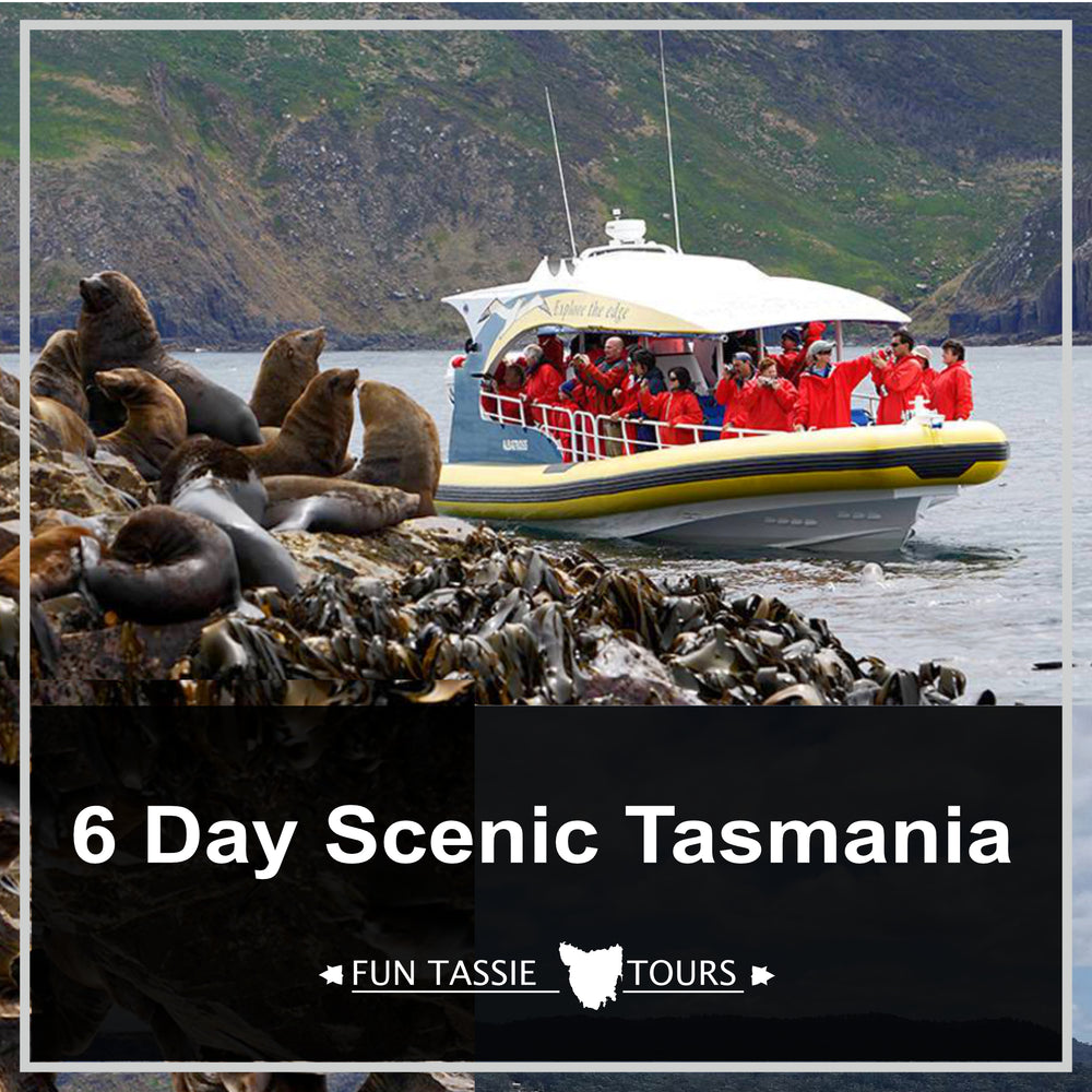 6 Day Scenic Tasmania Tour | (SG6)