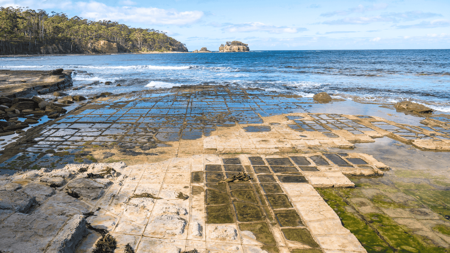 Tessellated Pavement Tasmania 