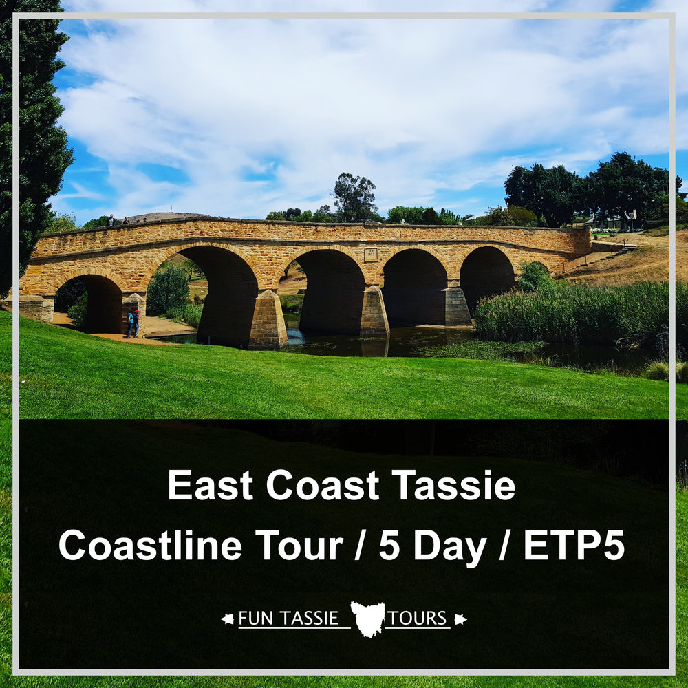 5 Day Tasmania Tour | East Coast Tours (ETP5)