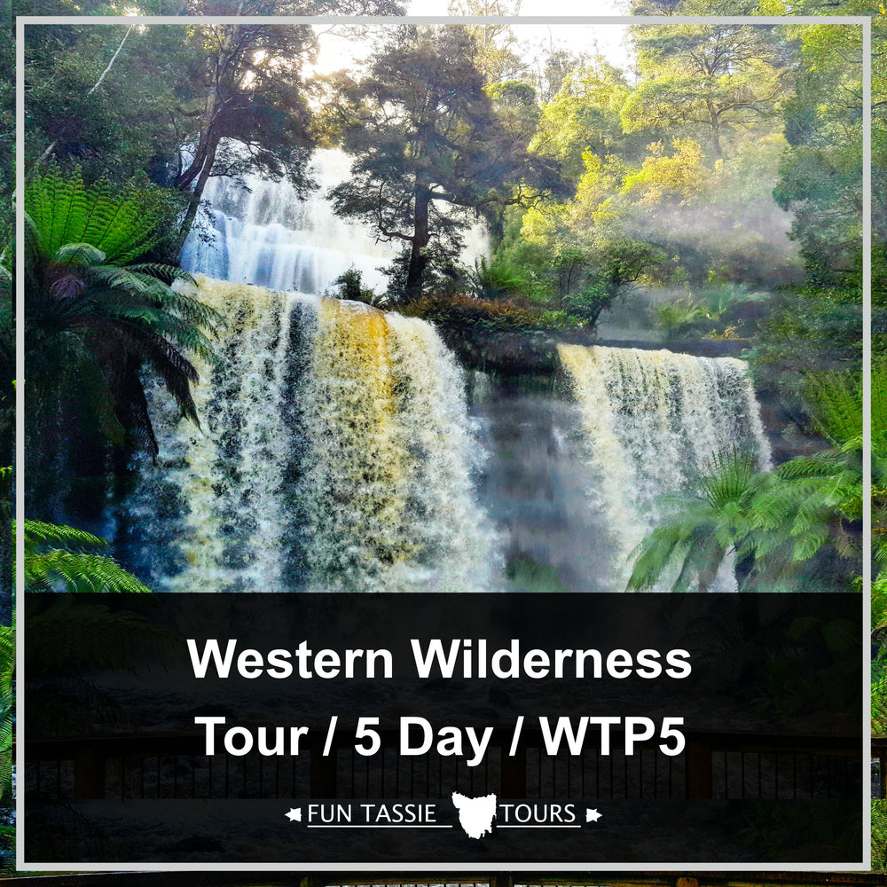 5 Day Tasmania Tour | Western Wilderness | WTP5